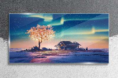 Glasbild Ein magischer Abend unter den Sternen