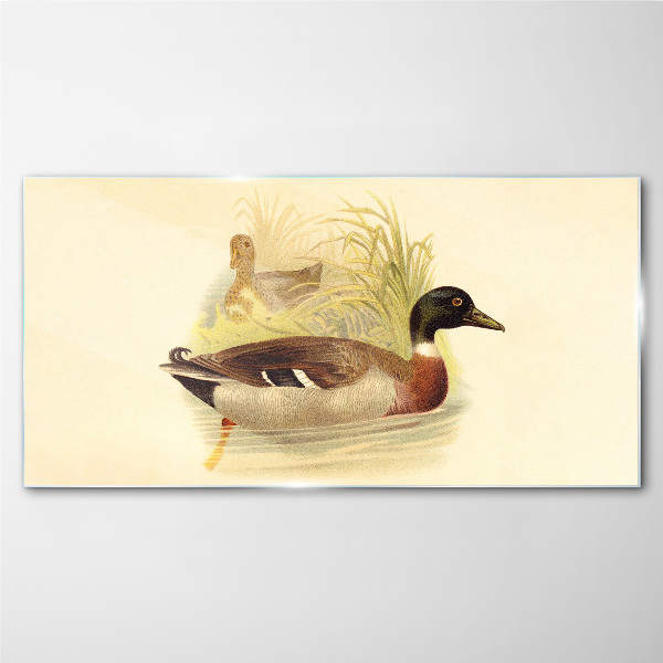 Glasbild Enten im Gras