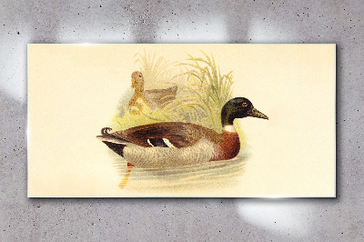 Glasbild Enten im Gras