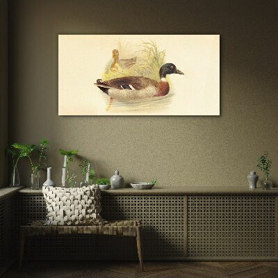 Glasbild Enten im Gras