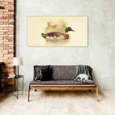Glasbild Enten im Gras