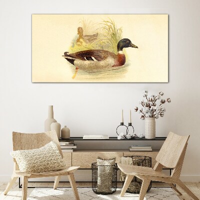 Glasbild Enten im Gras