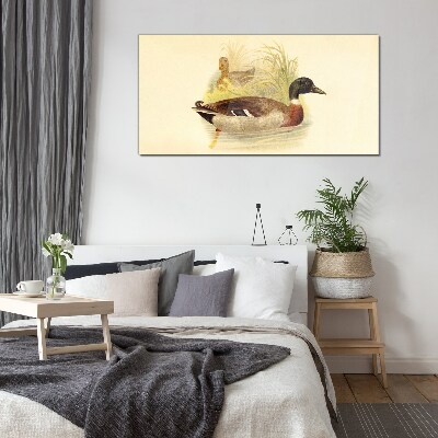Glasbild Enten im Gras