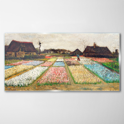 Glasbild Frühlingstulpenfelder