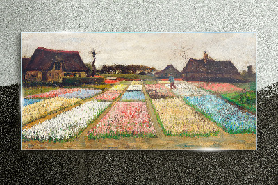 Glasbild Frühlingstulpenfelder