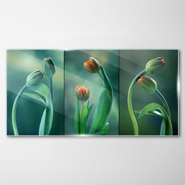 Glasbild Tulpen in Grüntönen