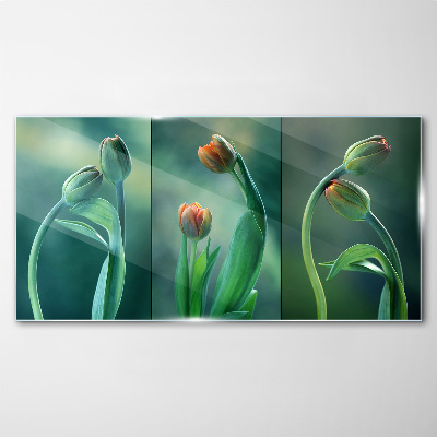 Glasbild Tulpen in Grüntönen