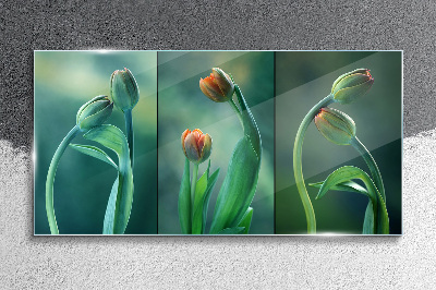 Glasbild Tulpen in Grüntönen
