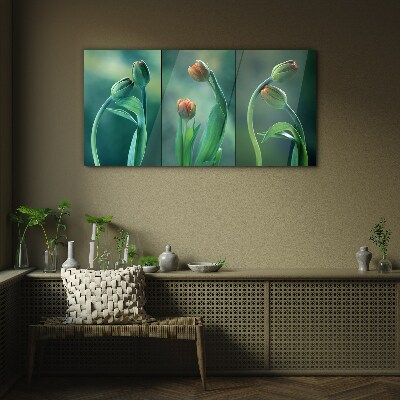 Glasbild Tulpen in Grüntönen