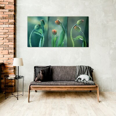 Glasbild Tulpen in Grüntönen