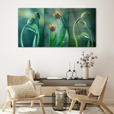 Glasbild Tulpen in Grüntönen