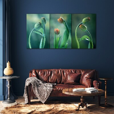 Glasbild Tulpen in Grüntönen