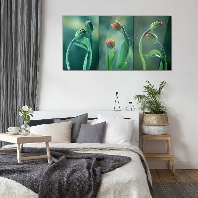 Glasbild Blumen Pflanzen Tulpen