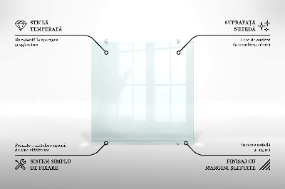 Spritzschutz für die Küche aus transparentem Hartglas