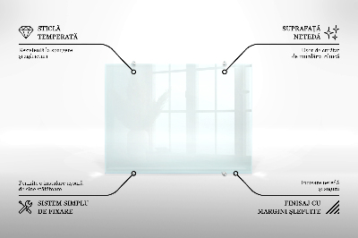 Spritzschutz für die Küche aus transparentem Hartglas