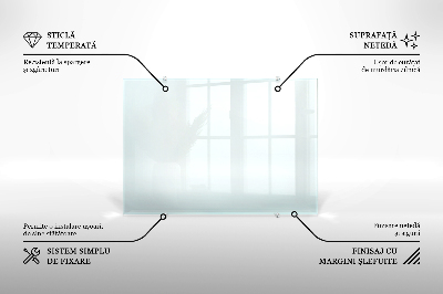 Spritzschutz für die Küche aus transparentem Hartglas