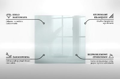 Glasplatte für Kamin transparent