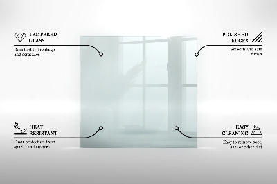 Glasplatte für Kamin transparent