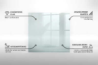 Glasplatte für Kamin transparent