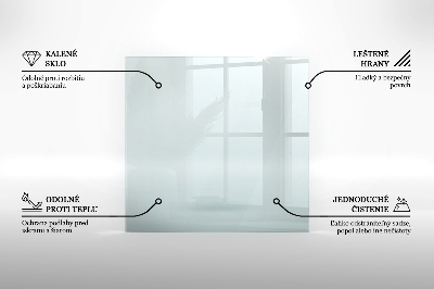 Glasplatte für Kamin transparent