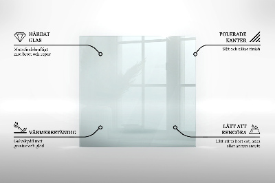 Glasplatte für Kamin transparent