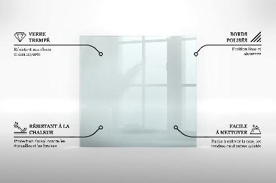Glasplatte für Kamin transparent