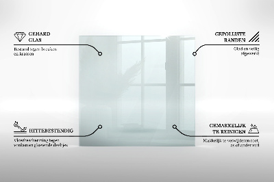Glasplatte für Kamin transparent