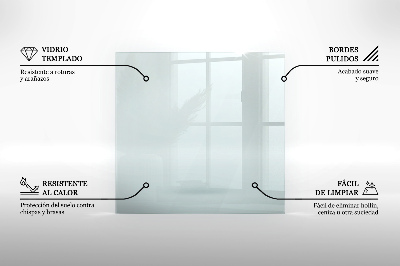 Glasplatte für Kamin transparent