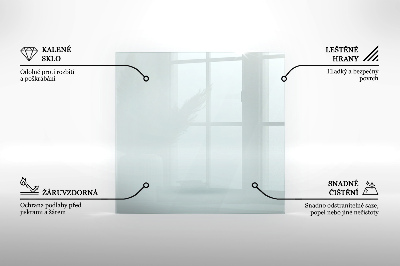 Glasplatte für Kamin transparent