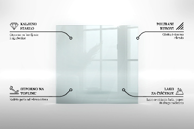 Glasplatte für Kamin transparent