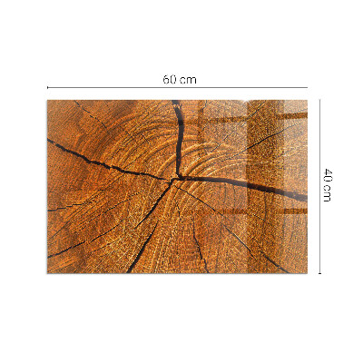 Vorlegeplatte für Kaminöfen Holz im Querschnitt mit natürlicher Maserung