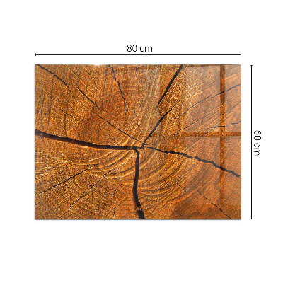 Vorlegeplatte für Kaminöfen Holz im Querschnitt mit natürlicher Maserung