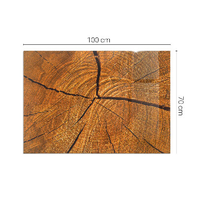 Vorlegeplatte für Kaminöfen Holz im Querschnitt mit natürlicher Maserung