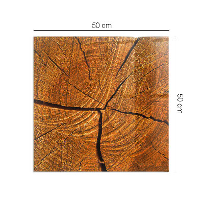 Vorlegeplatte für Kaminöfen Holz im Querschnitt mit natürlicher Maserung
