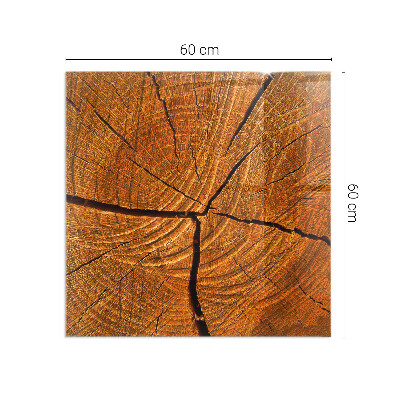 Vorlegeplatte für Kaminöfen Holz im Querschnitt mit natürlicher Maserung
