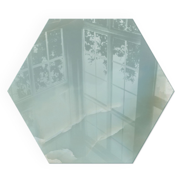 Sechseckige Vorlegeplatte für Kaminöfen Elegantes Marmormotiv