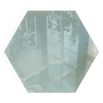 Sechseckige Vorlegeplatte für Kaminöfen Elegantes Marmormotiv