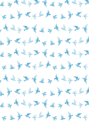 Rollo Blaue Vögel