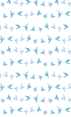 Rollo Blaue Vögel