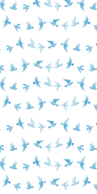 Rollo Blaue Vögel