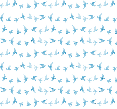 Rollo Blaue Vögel