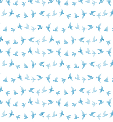 Rollo Blaue Vögel