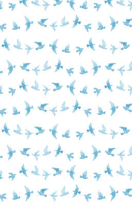 Rollo Blaue Vögel