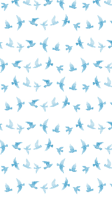 Rollo Blaue Vögel