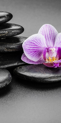 Verdunkelungsrollo Orchidee auf den Steinen