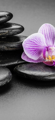 Verdunkelungsrollo Orchidee auf den Steinen