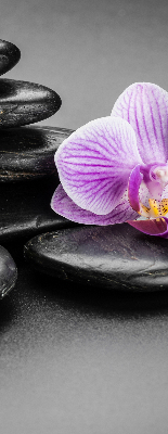 Verdunkelungsrollo Orchidee auf den Steinen