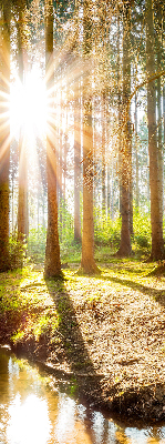 Rollo Die Sonne scheint durch die Bäume