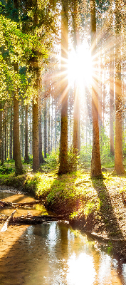 Rollo Die Sonne scheint durch die Bäume