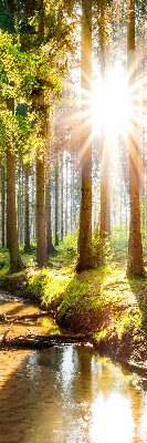 Rollo Die Sonne scheint durch die Bäume